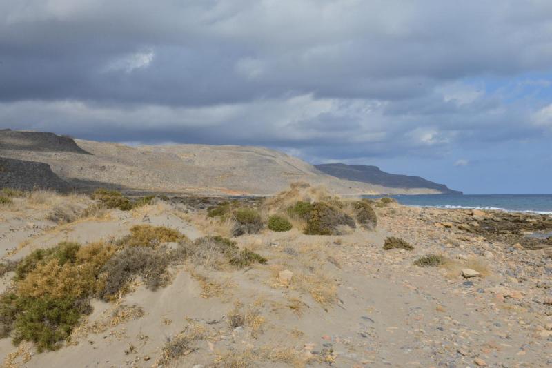 kreta_2024_xerokampos_palekastro_019