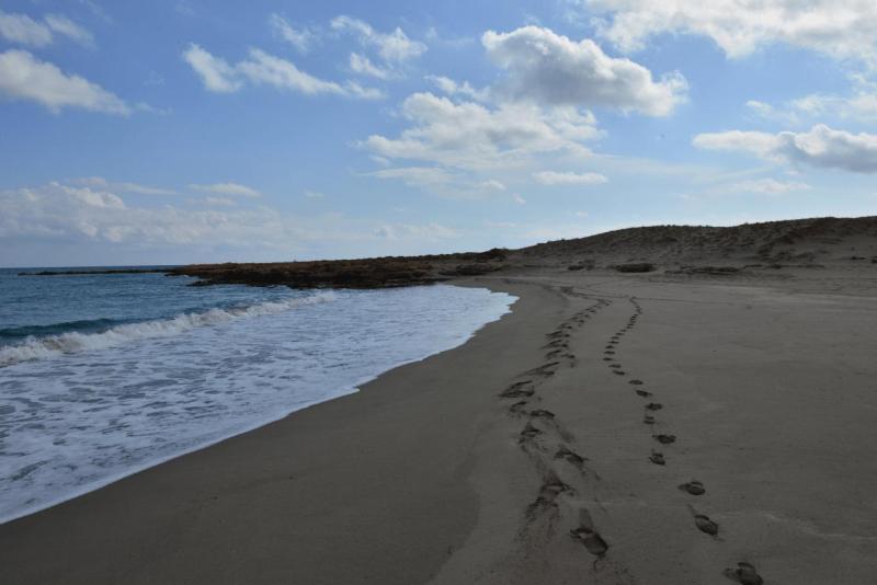 kreta_2024_xerokampos_palekastro_027