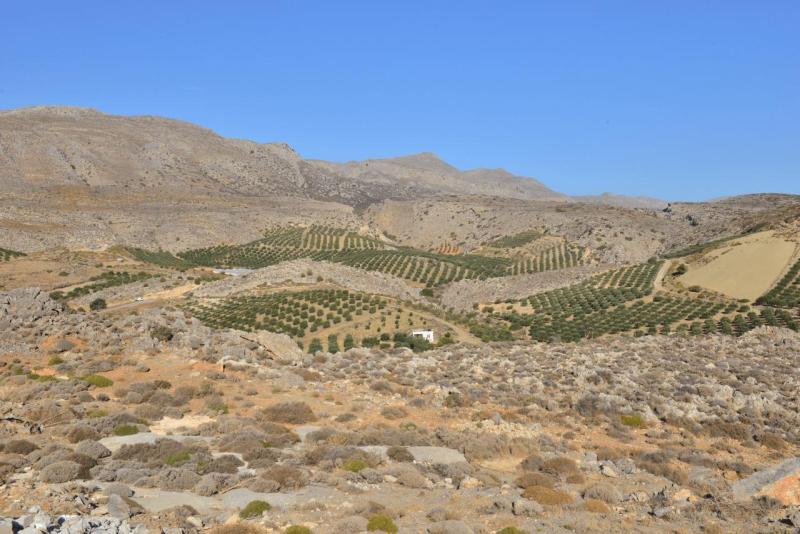 kreta_2024_xerokampos_palekastro_049