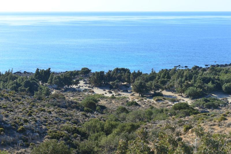 kreta_kedrodasos_beach_01