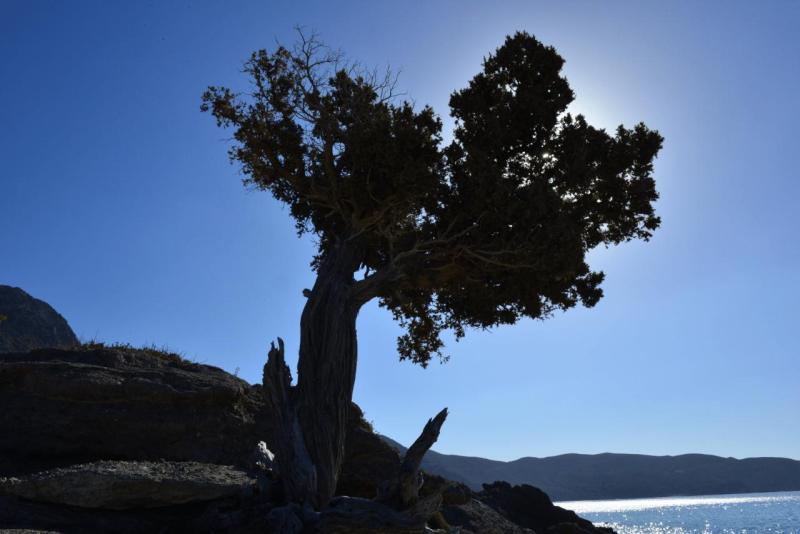 kreta_kedrodasos_beach_11