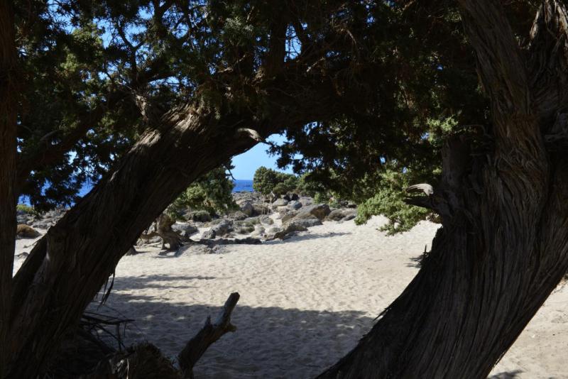 kreta_kedrodasos_beach_16