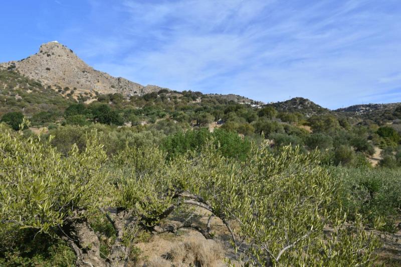 kreta_2024_pefki_schlucht_007