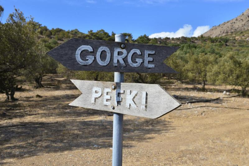 kreta_2024_pefki_schlucht_009