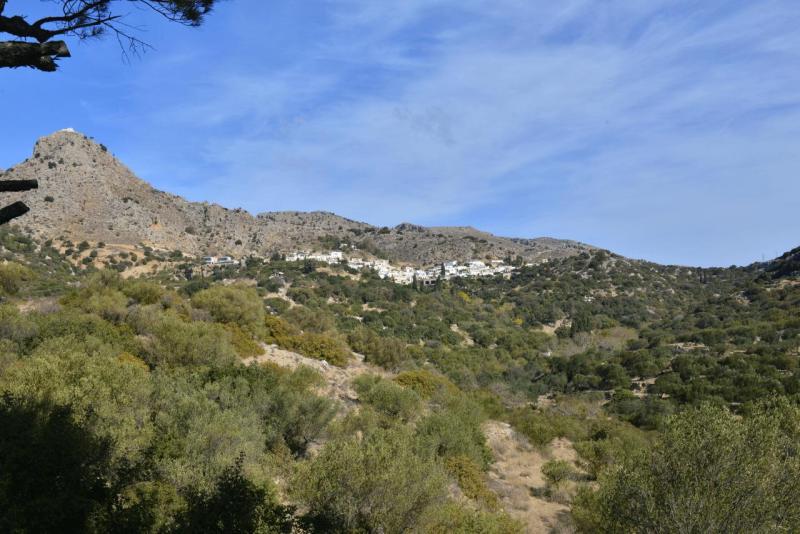 kreta_2024_pefki_schlucht_011