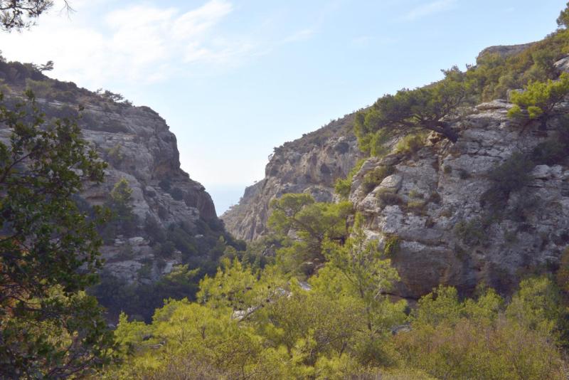 kreta_2024_pefki_schlucht_015