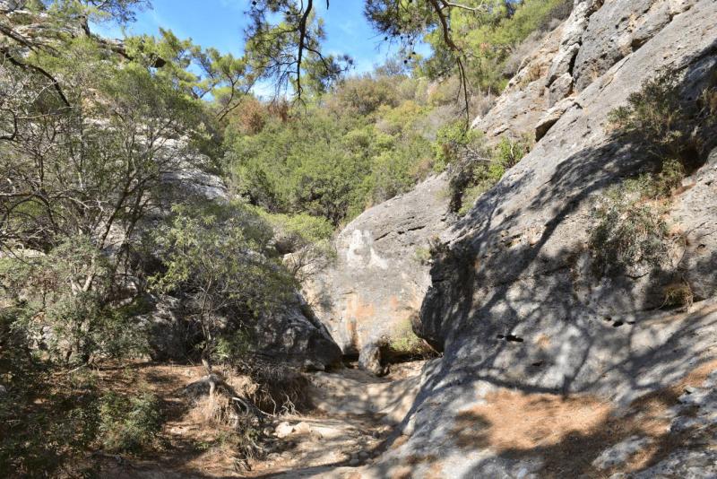kreta_2024_pefki_schlucht_019