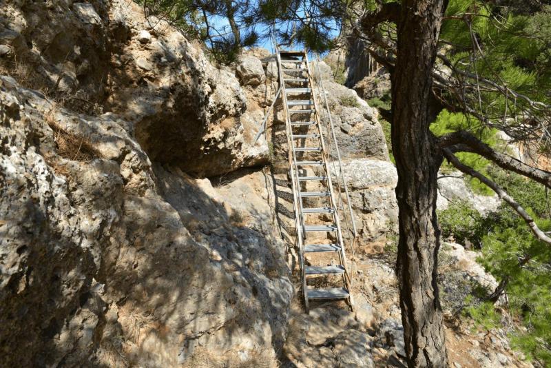 kreta_2024_pefki_schlucht_025