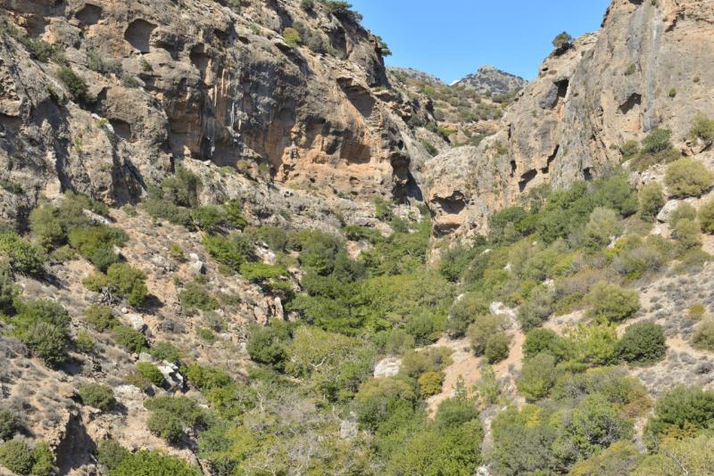 kreta_2024_pefki_schlucht_029