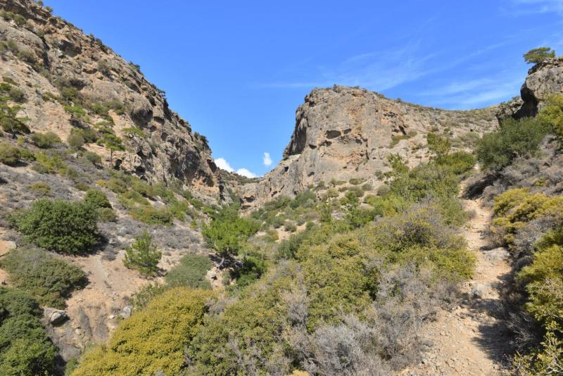 kreta_2024_pefki_schlucht_031