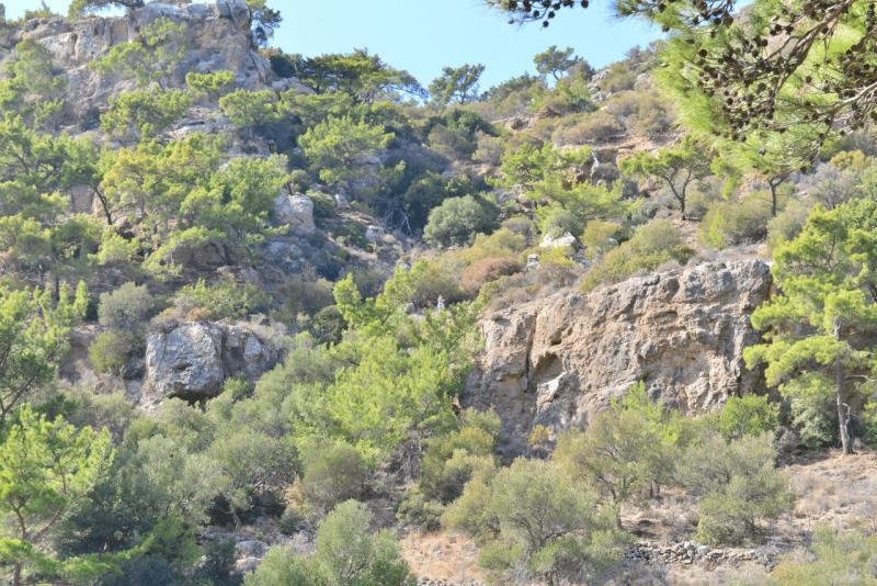 kreta_2024_pefki_schlucht_033
