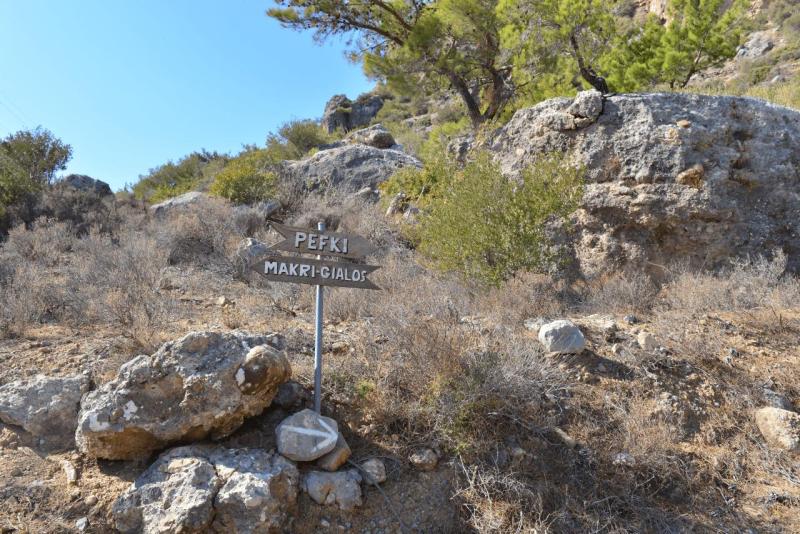 kreta_2024_pefki_schlucht_035