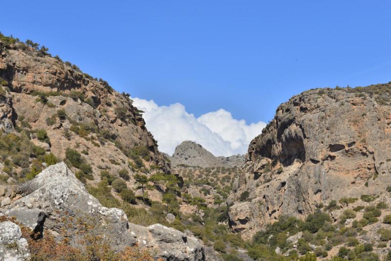 kreta_2024_pefki_schlucht_037