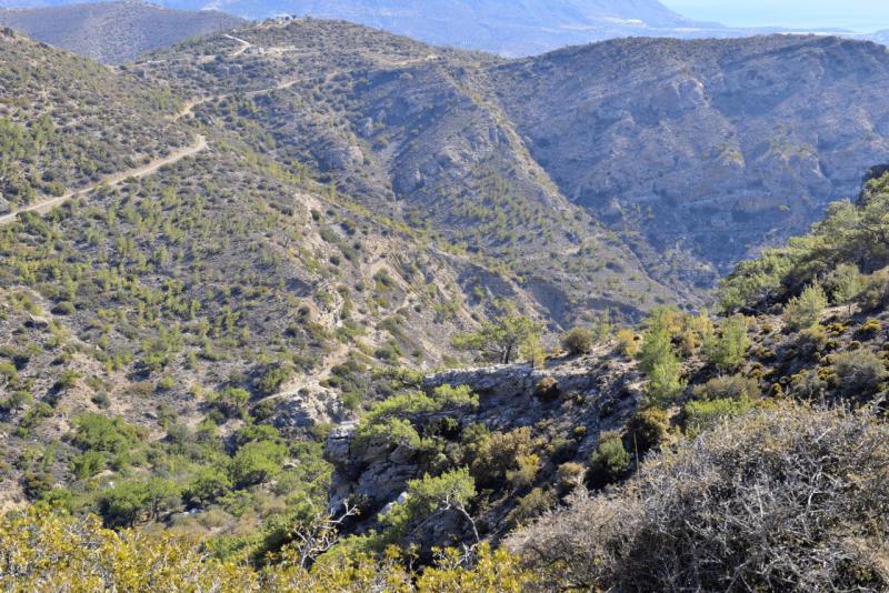 kreta_2024_pefki_schlucht_041