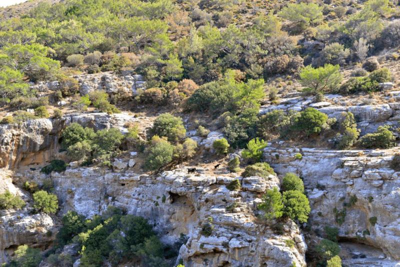 kreta_2024_pefki_schlucht_047
