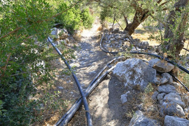 kreta_2024_pefki_schlucht_049