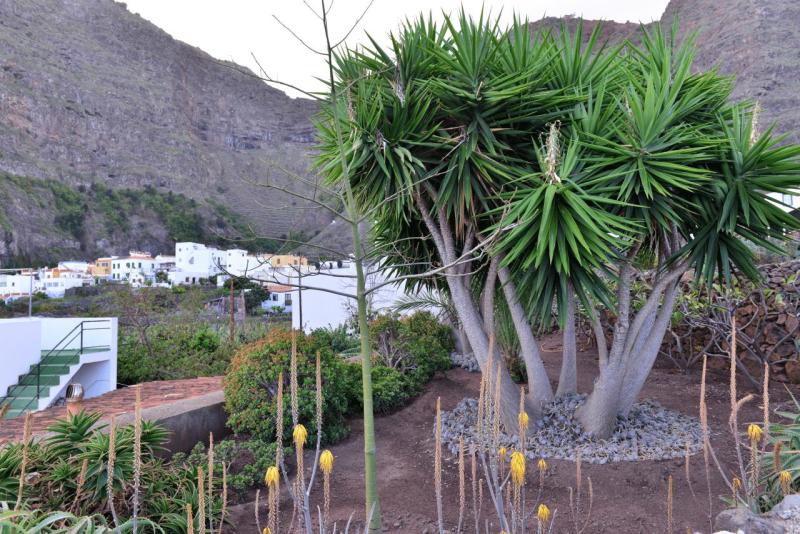 la_gomera_agulo_022