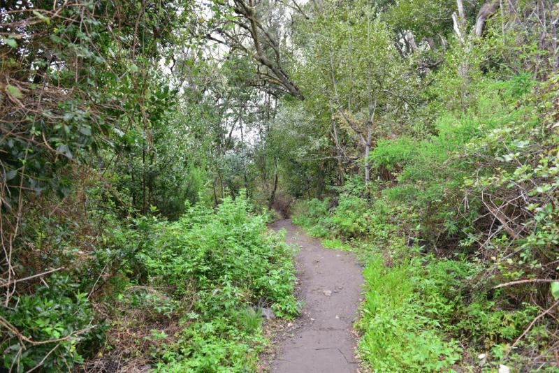 la_gomera_laguna_grande_hike_005