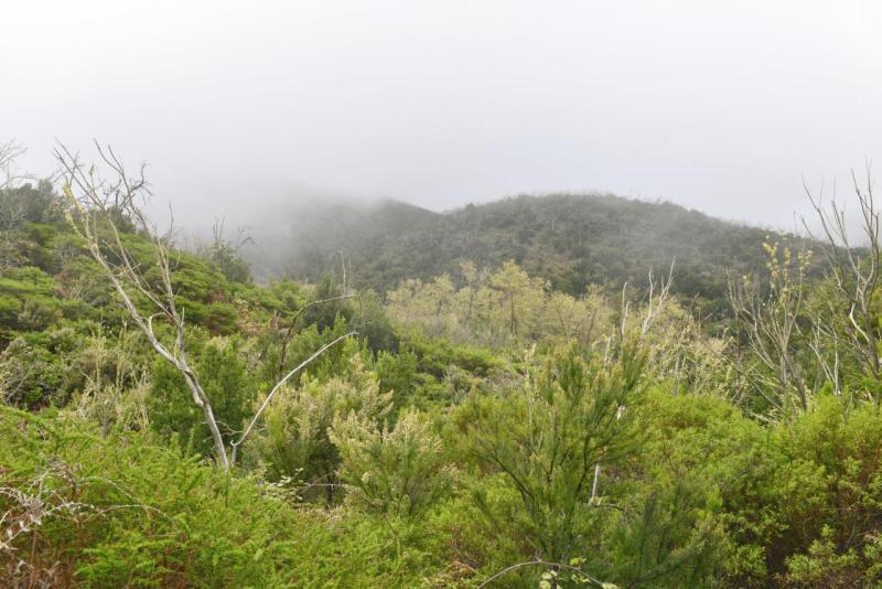 la_gomera_laguna_grande_hike_006