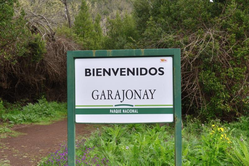 la_gomera_laguna_grande_hike_007
