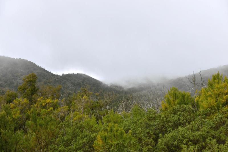 la_gomera_laguna_grande_hike_014
