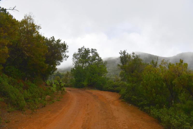 la_gomera_laguna_grande_hike_015