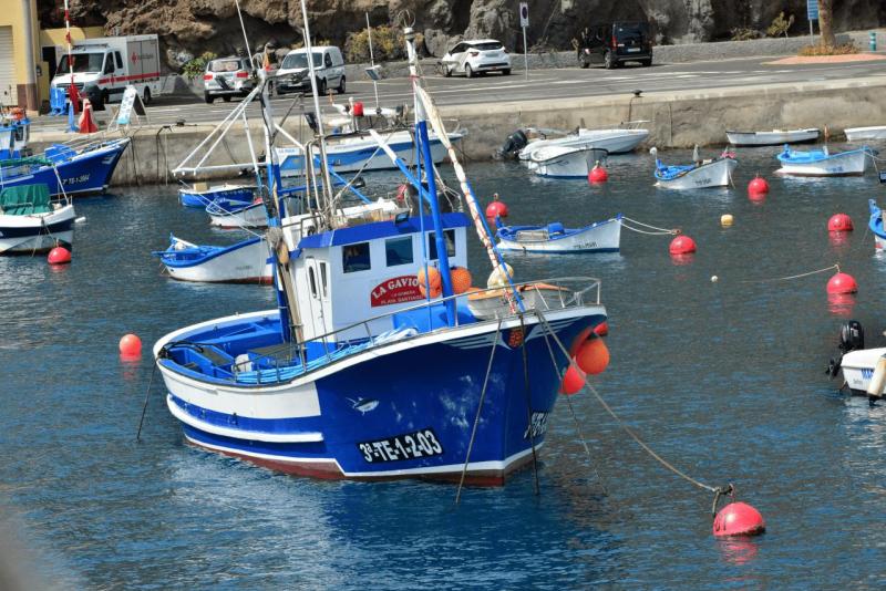 la_gomera_boat_tour_008