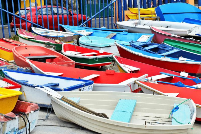 la_gomera_boat_tour_016