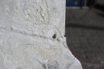 stormvogel_lage_35_014