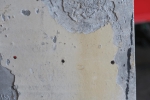 stormvogel_lage_35_015