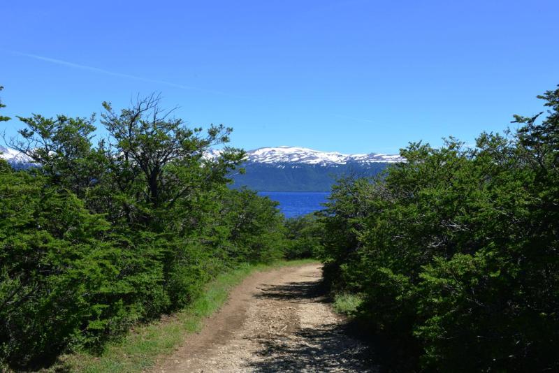 lago_vintter_003
