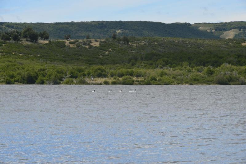 lago_vintter_038