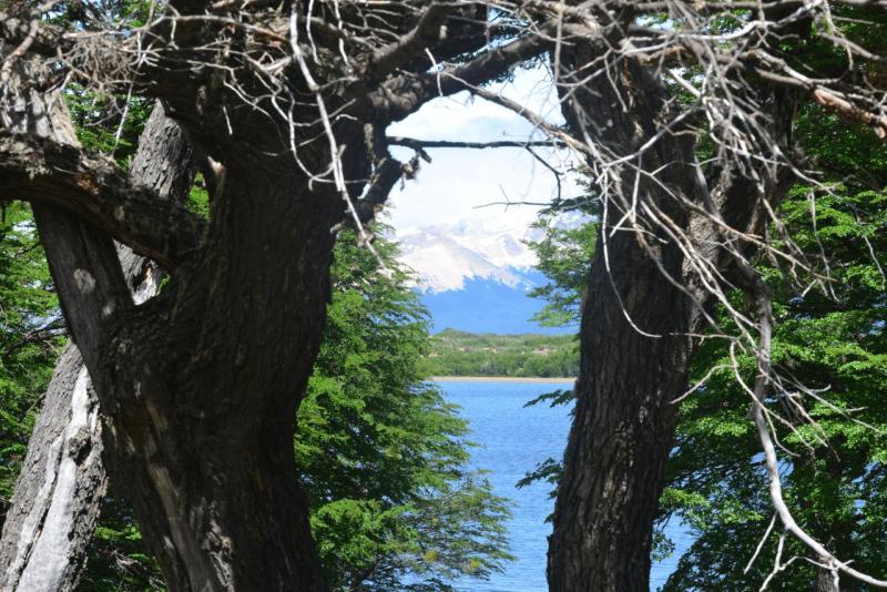 lago_vintter_039