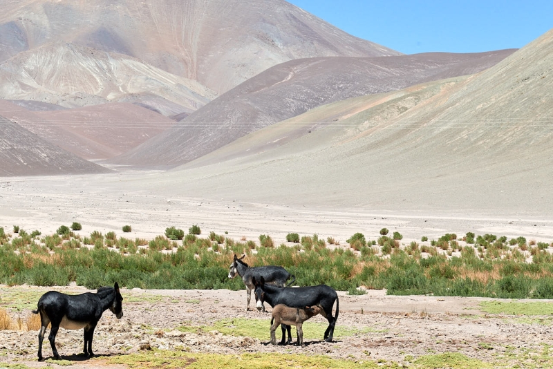 laguna_verde_anden_008
