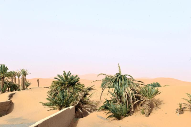 merzouga_le_sahara_0003