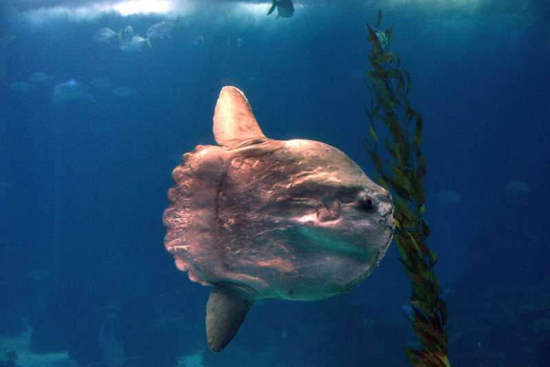 lisbon_lissabon_0091