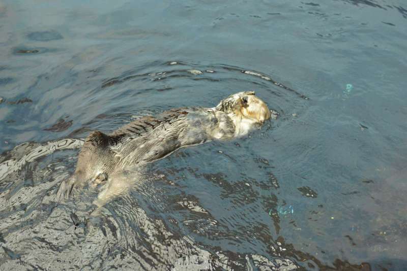 lisbon_lissabon_0096