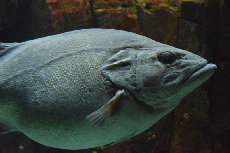 lisbon_lissabon_0101