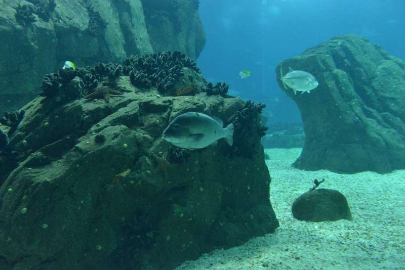 lisbon_lissabon_0106