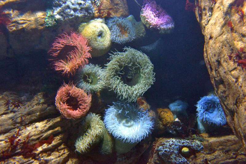 lisbon_lissabon_0111