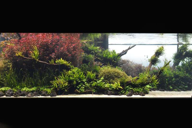 lisbon_lissabon_0116