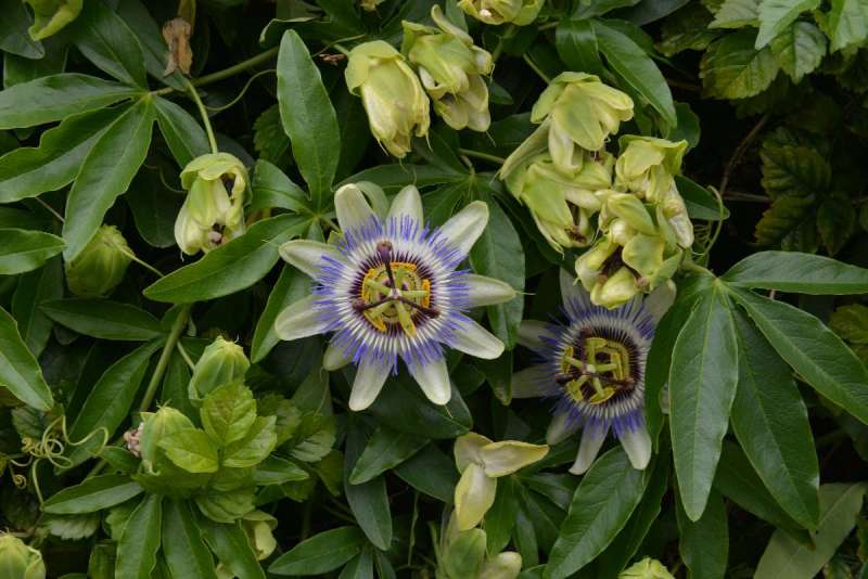 lisbon_lissabon_0151