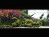 lisbon_lissabon_0116