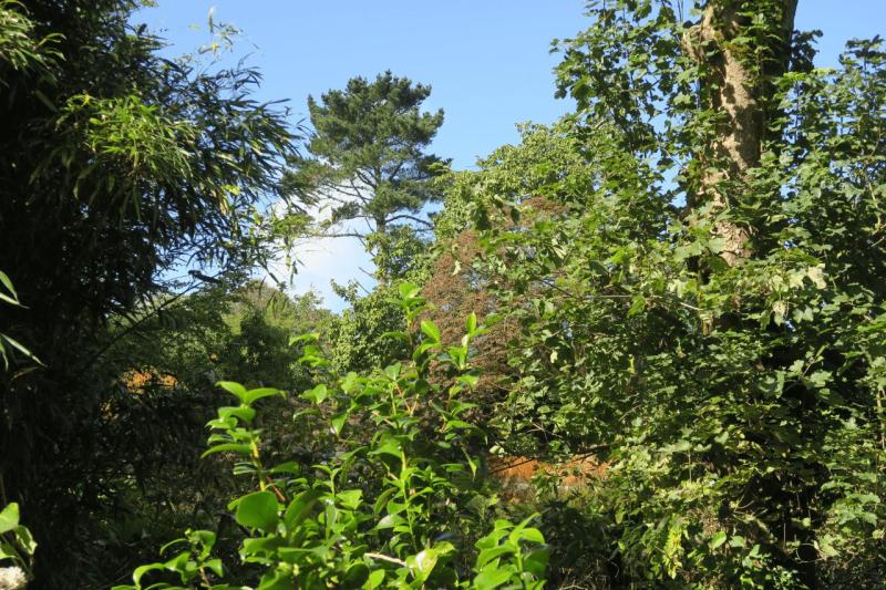 uk26_lizard_point_trengwainton_garden_009