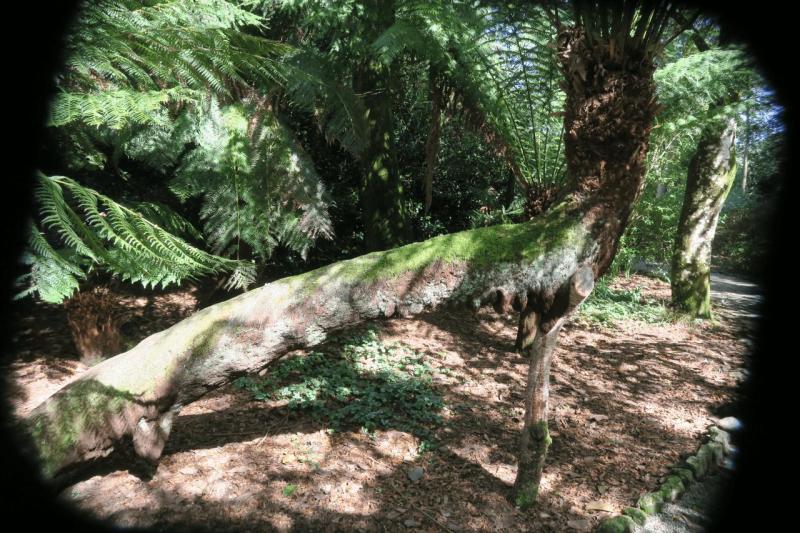 uk26_lizard_point_trengwainton_garden_012