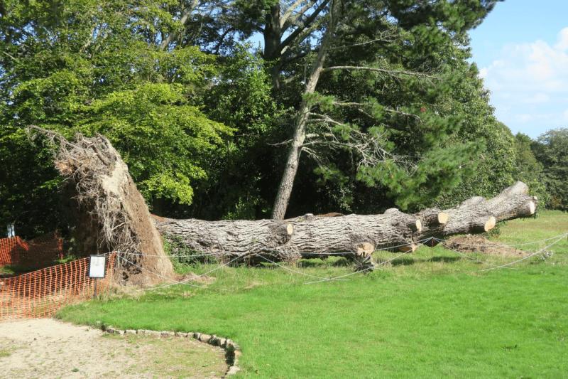 uk26_lizard_point_trengwainton_garden_017