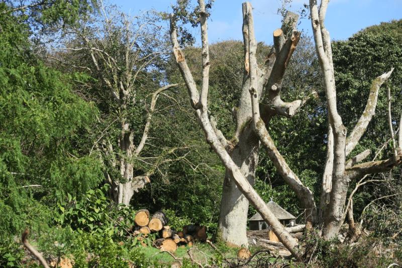 uk26_lizard_point_trengwainton_garden_024