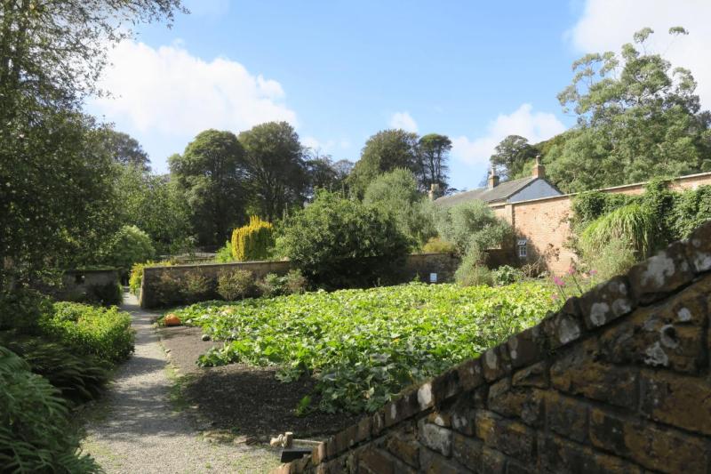 uk26_lizard_point_trengwainton_garden_031