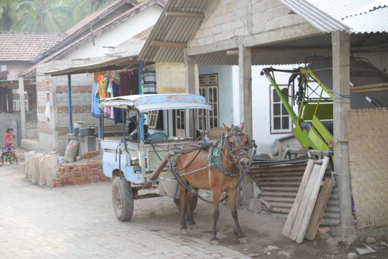 lombok_medana_0041