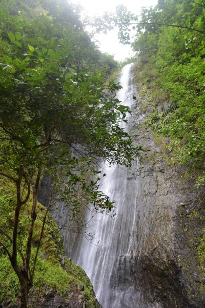 ma03_0011